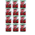 Altunsa Tomato Paste 830gx12